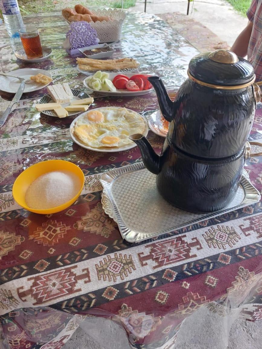 Ilgar'S Hostel Şǝki 外观 照片